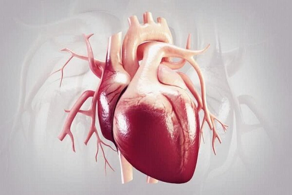 هنگام بروز حمله قلبی از چه دارویی استفاده کنیم؟