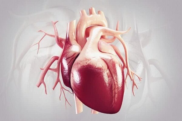 چرا کووید طولانی مشکل قلبی ایجاد میکند؟ چرا کووید طولانی مشکل قلبی ایجاد میکند؟