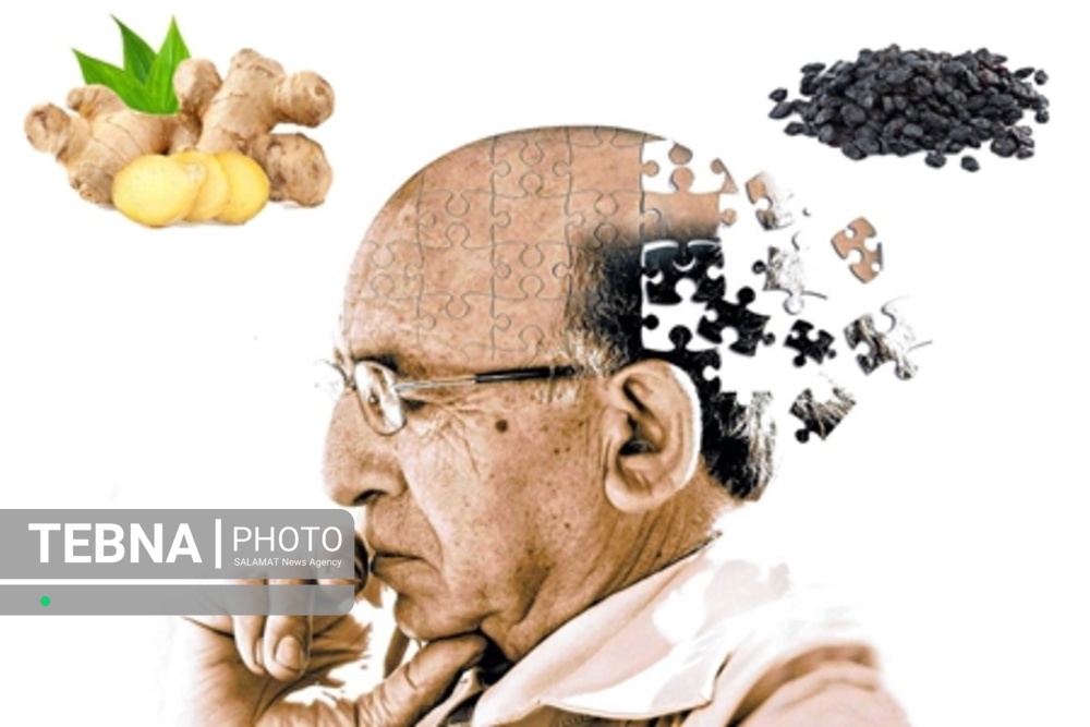 توصیه های طب ایرانی برای پیشگیری از فراموشی و آلزایمر