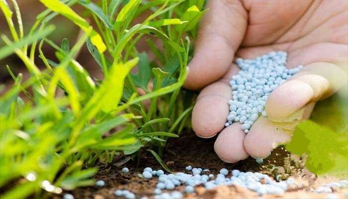 روسیه دومین صادر کننده کود کشاورزی به آمریکا شد