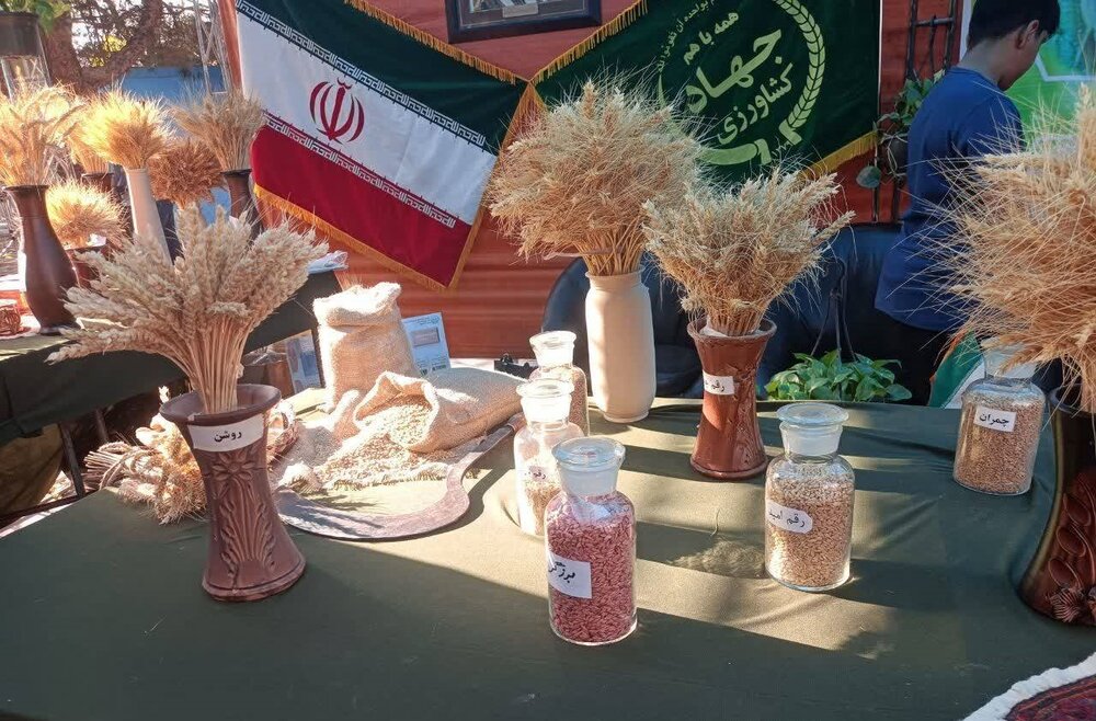 نان ۲۱ استان ایران در کرمان به نمایش گذاشته شد