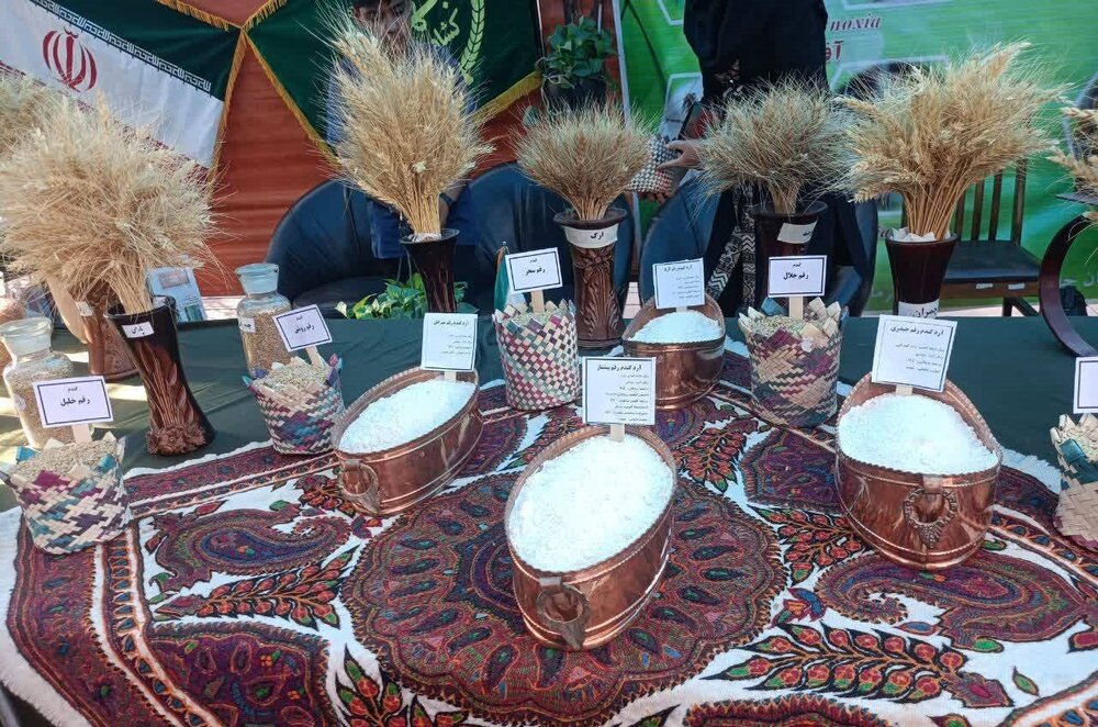 نان ۲۱ استان ایران در کرمان به نمایش گذاشته شد