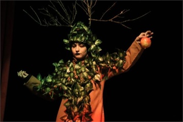 جشنواره بین المللی پانتومیم زنجان