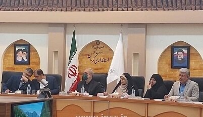 فرش کرمان زیر پای بی توجهی کارگزاری های فرش