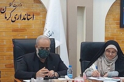 فرش کرمان زیر پای بی توجهی کارگزاری های فرش