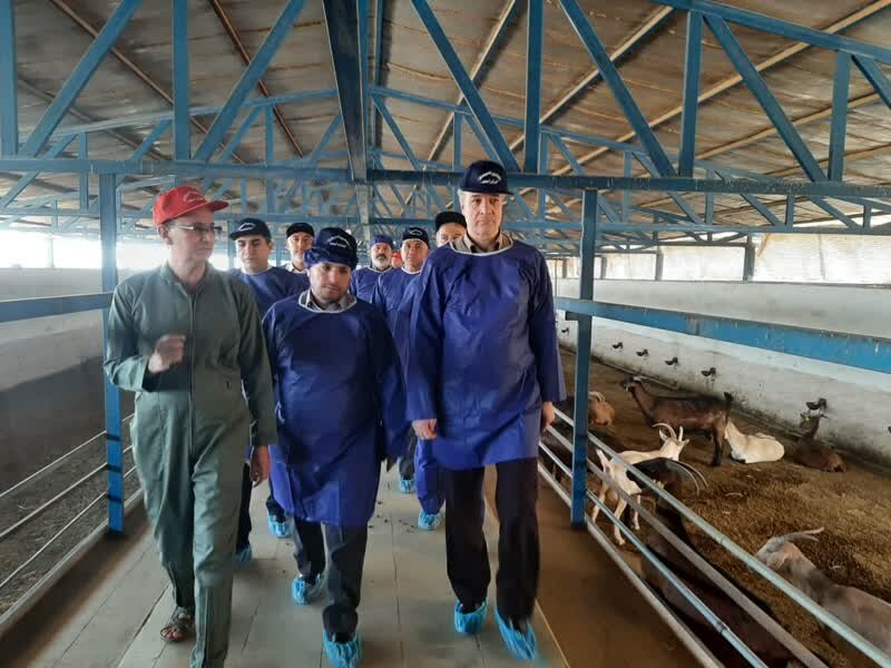 تولید به شکل زنجیره ای از هزینه های تولید می کاهد