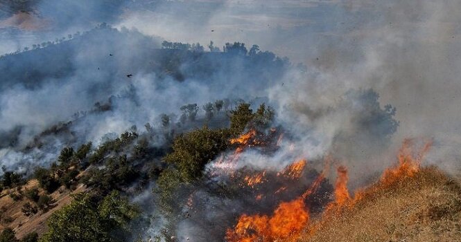 وقوع بیش از ۲۰۰ فقره  آتش سوزی در مراتع و جنگلهای کردستان