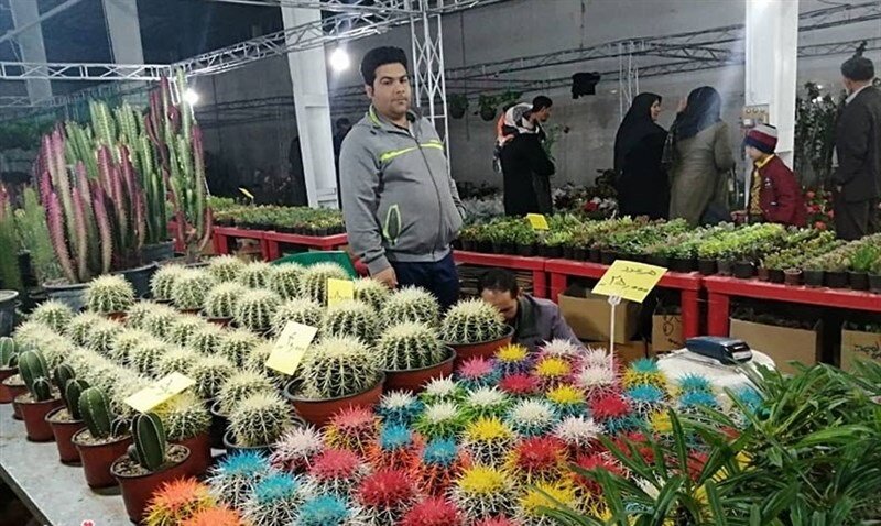 افتتاح دومین نمایشگاه خدمات شهری و گل و گیاه در کرمان