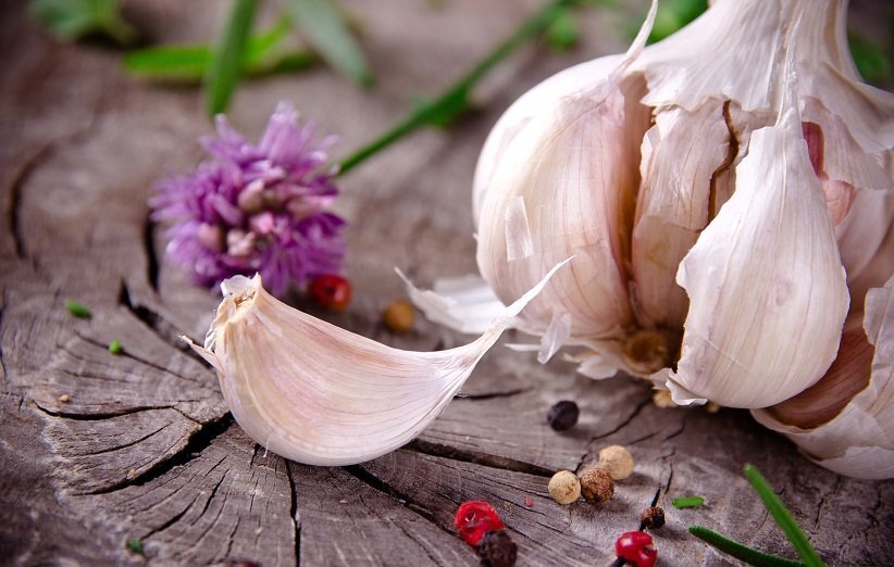 معجزه خوردن یک حبه «سیر» برای سلامت بدن