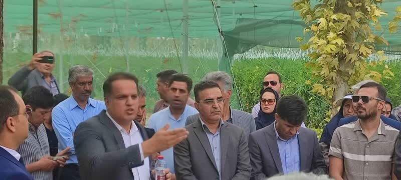 پروانه تاسیس گلخانه تابع اقلیم در شهرستان های فارس صادر می شود