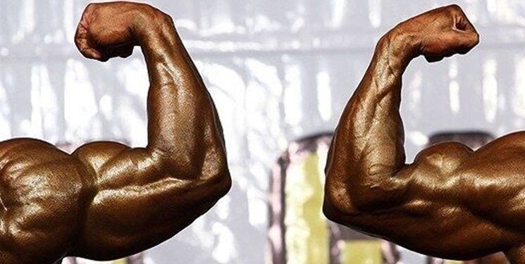 مکمل اتلتیکا ساخت کجاست ؟ معرفی و بررسی کامل مکمل اتلتیکا ساخت کجاست ؟ معرفی و بررسی کامل