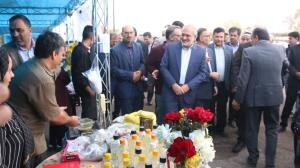 برگزاری نخستین جشنواره طلای سرخ در راویز رفسنجان
