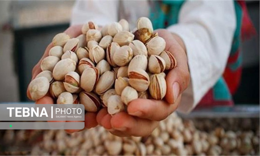 صادرات ۲۰ تن پسته از سروستان به روسیه