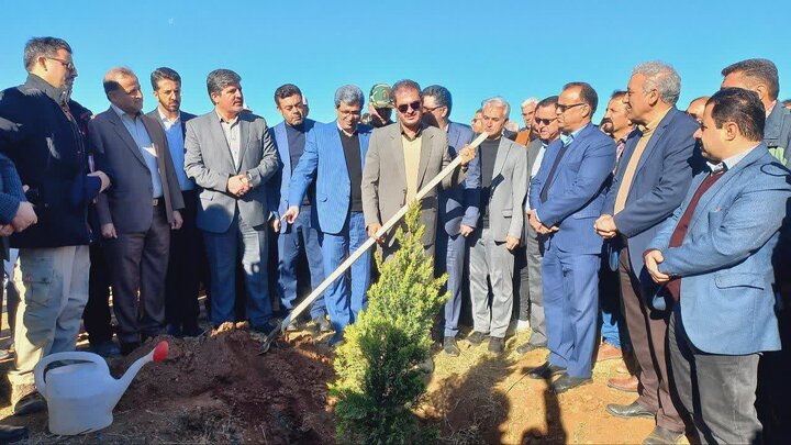 ضرورت نهادینه کردن فرهنگ حراست از درختان و منابع طبیعی کردستان