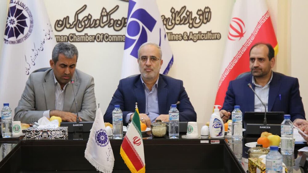 تمام حق بیمه از استان کرمان خارج می شود