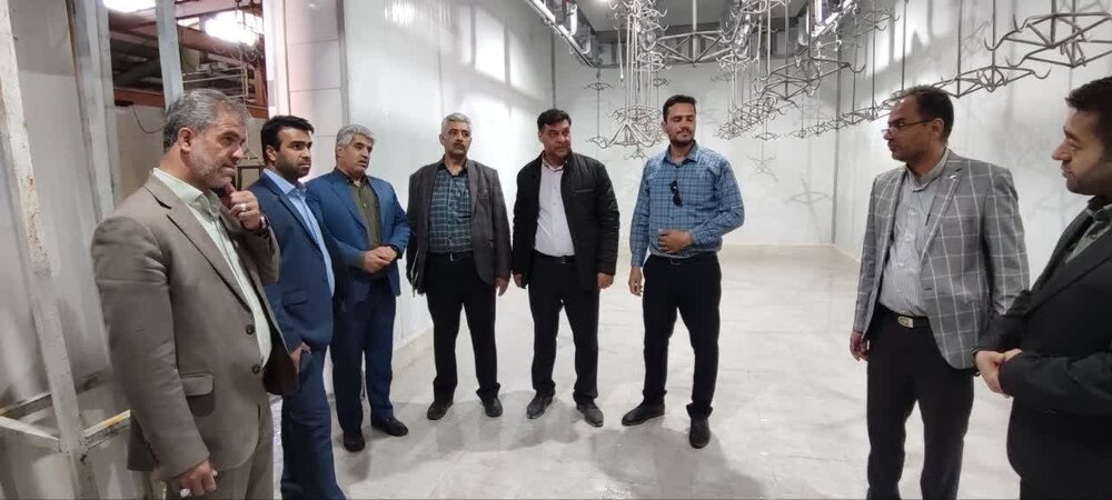 برخورد دادستانی با دامداری ها و کشتار غیرمجاز دام در سیرجان