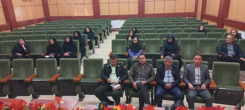 برگزاری وبینار پیشگیری از مصرف مشروبات الکلی در زرین دشت