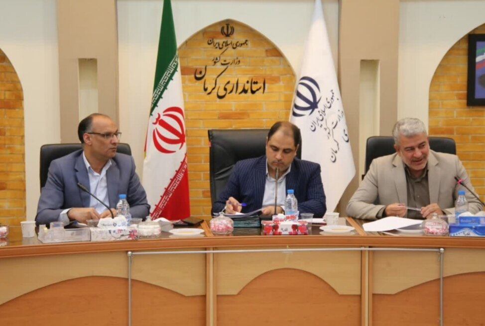 صنعت فرش، همدلی و هم افزایی می‌ خواهد