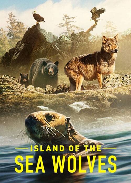 تماشای "جزیره گرگ های دریایی" از قاب شبکه تهران