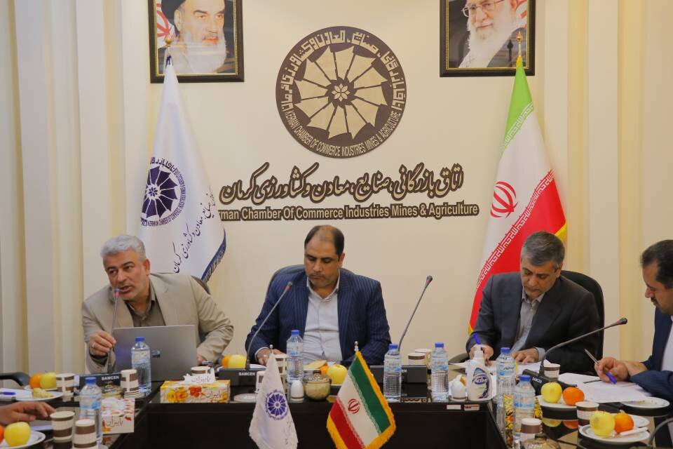 حرکت استان کرمان به سمت جلوگیری از "خام فروشی"