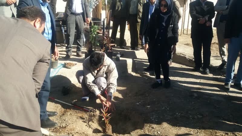 کاشت ۱۰۰ نهال به نام نخبگان دارای معلولیت