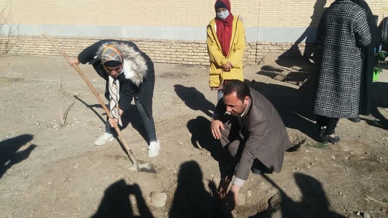 کاشت ۱۰۰ نهال به نام نخبگان دارای معلولیت