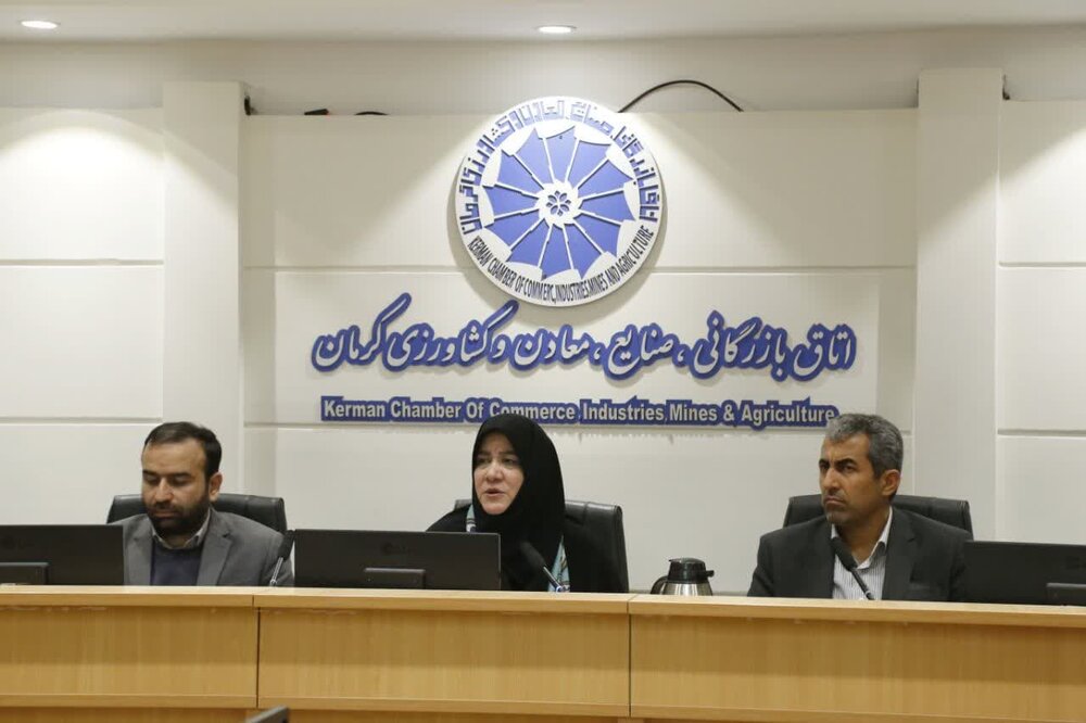 کرمان؛ شرایط لازم برای جهانی شدن صنایع دستی را دارد