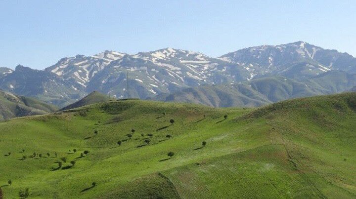 حیات جانوری و گیاهی کردستان به کوه ها وابسته است