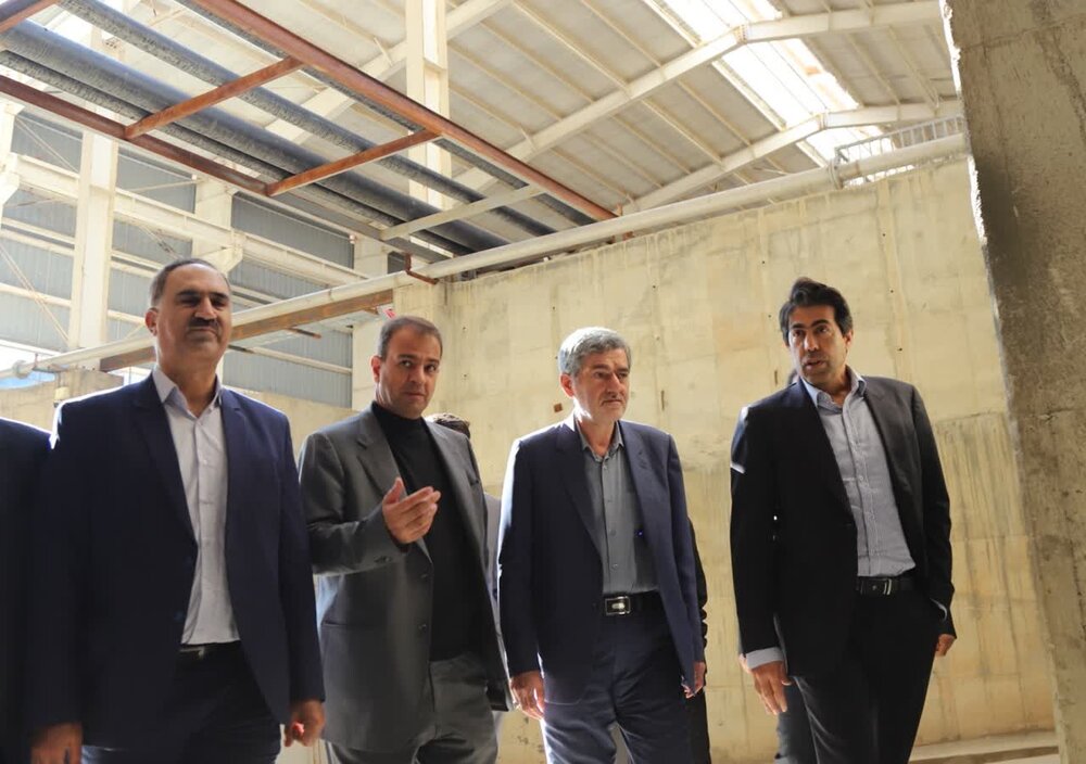 از دامنه زاگرس، کشور به خودکفایی تولید کاغذ می رسد