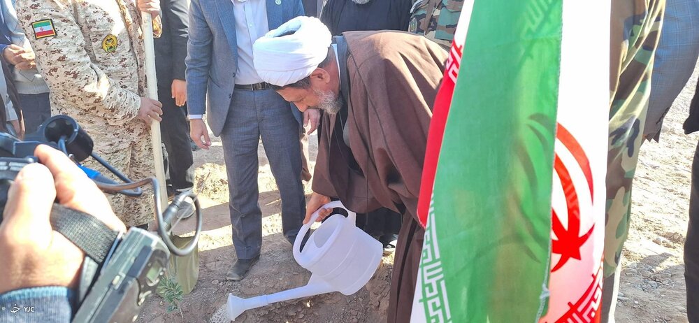 کاشت ۲ هزار اصله درخت در کرمان