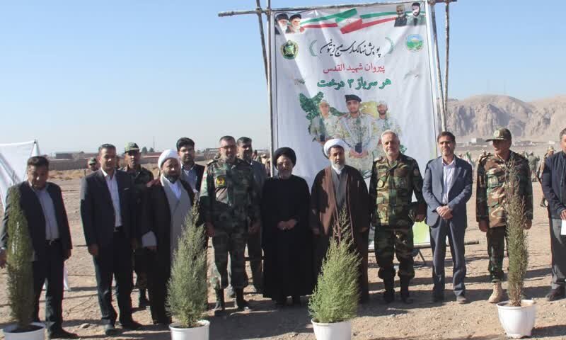 کاشت ۲ هزار اصله درخت در کرمان