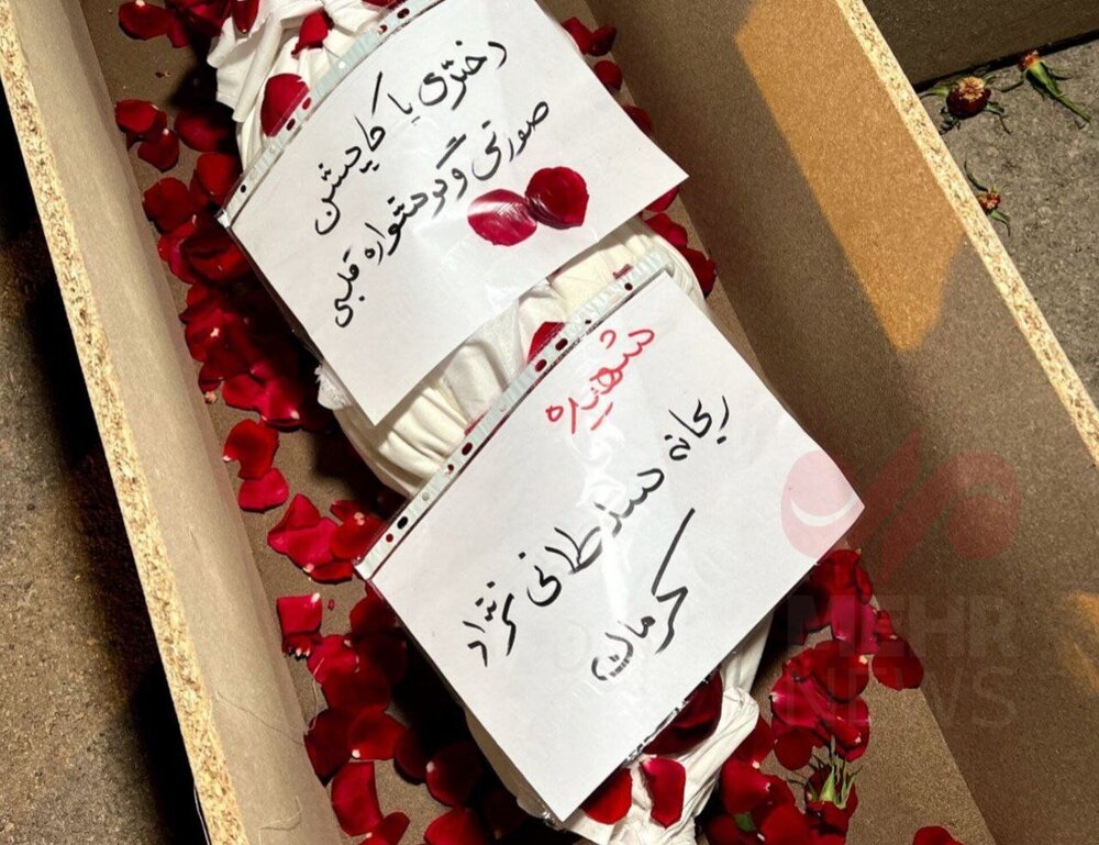 دخترک کاپشن صورتی با گوشواره قلبی در خاک آرام گرفت