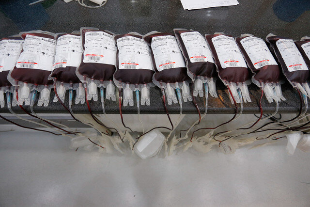 نجات جان سه نفر با اهدای هر کیسه خون
