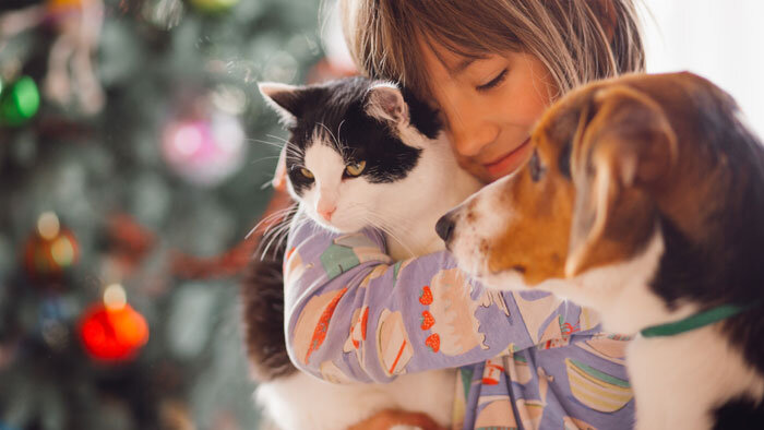 سگ و گربه برای کودکان آلرژی زا هستند