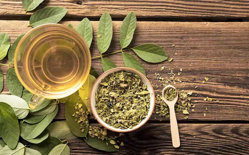 خواص درمانی گیاه «سنا» از دیدگاه طب سنتی