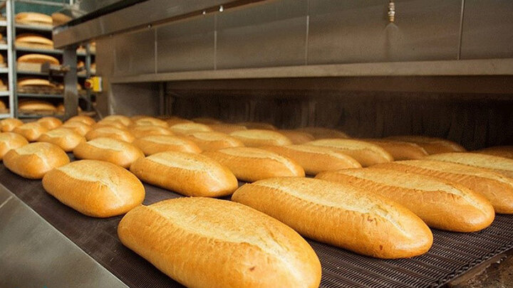 رونمایی از تولید «نان کامل»