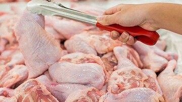 خمیر مرغ زیر ذره‌بین نظارت؛ از تولید تا مصرف