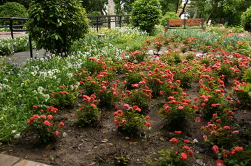 باغ ایرانی تهران