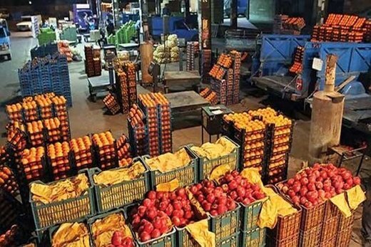 بیش از ۳۰۰ تن سیب و پرتقال در کردستان توزیع شد