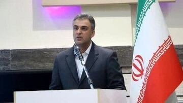 فعالیت بیش از ۱۸۰ سمن در استان کرمان