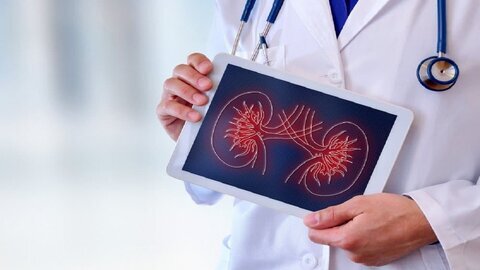 دلیل افزایش مشکلات کلیوی چیست دلیل افزایش مشکلات کلیوی چیست