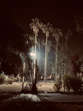 شب هاي سوسنگرد
