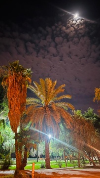 شب هاي سوسنگرد