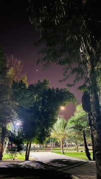 شب هاي سوسنگرد