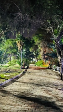 شب هاي سوسنگرد