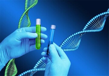کاربرد ژن درمانی برای درمان تبخال