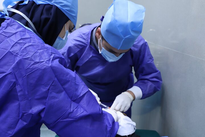 تزریق رایگان داروی داخل چشم برای ۵۲ بیمار در شیراز