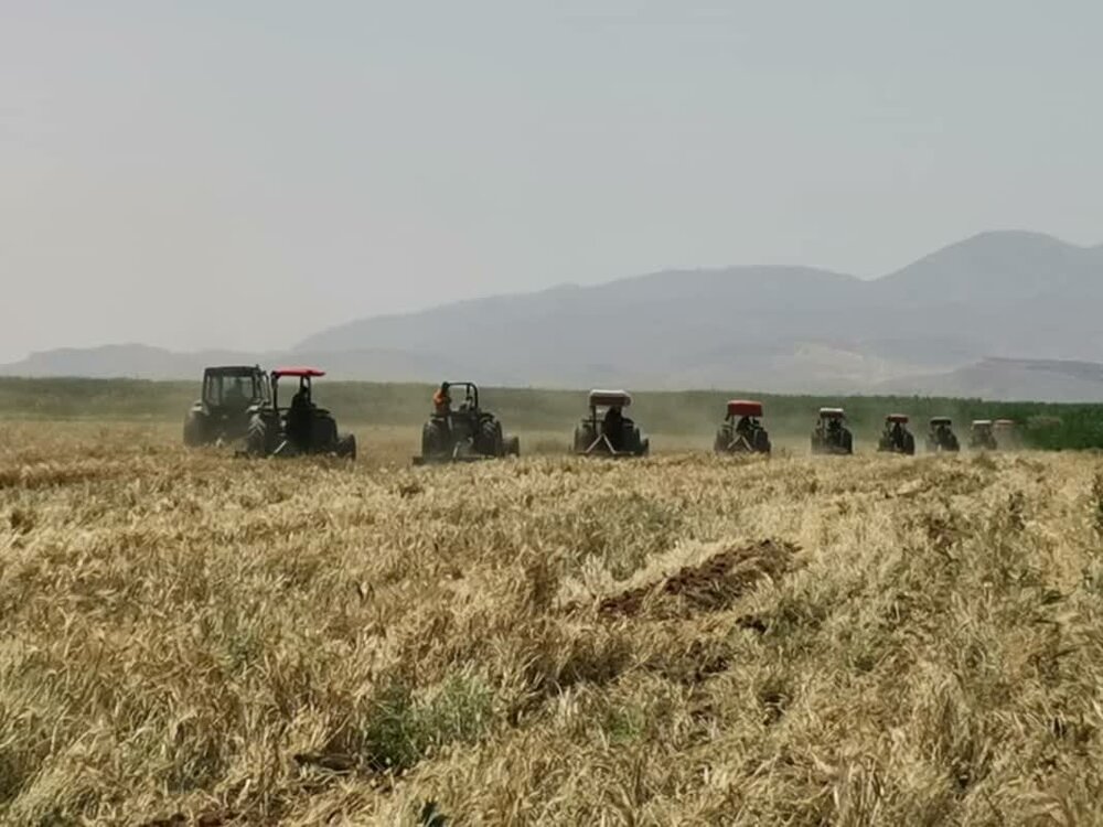 تمامی مزارع آلوده به فاضلاب در شیراز امحاء شد