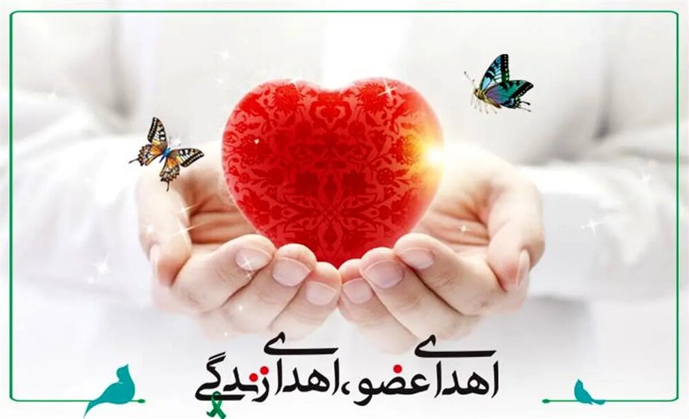 اهدای عضو بانوی رفسنجانی حیات بخش چندین بیمار شد