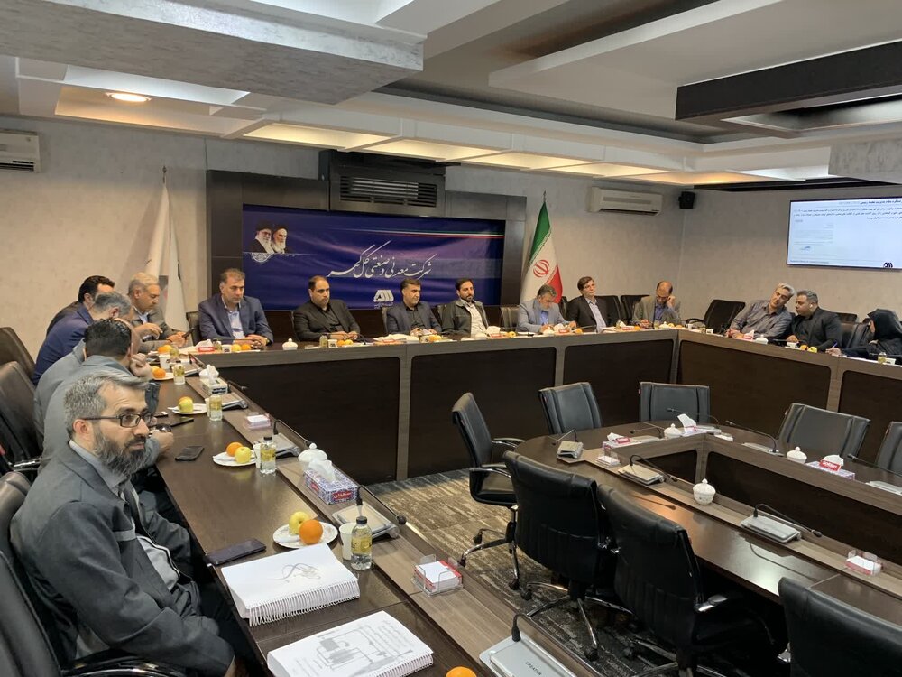 امکان فعالیت گل‌ گهر در منطقه بهرام گور سیرجان مهیا شد